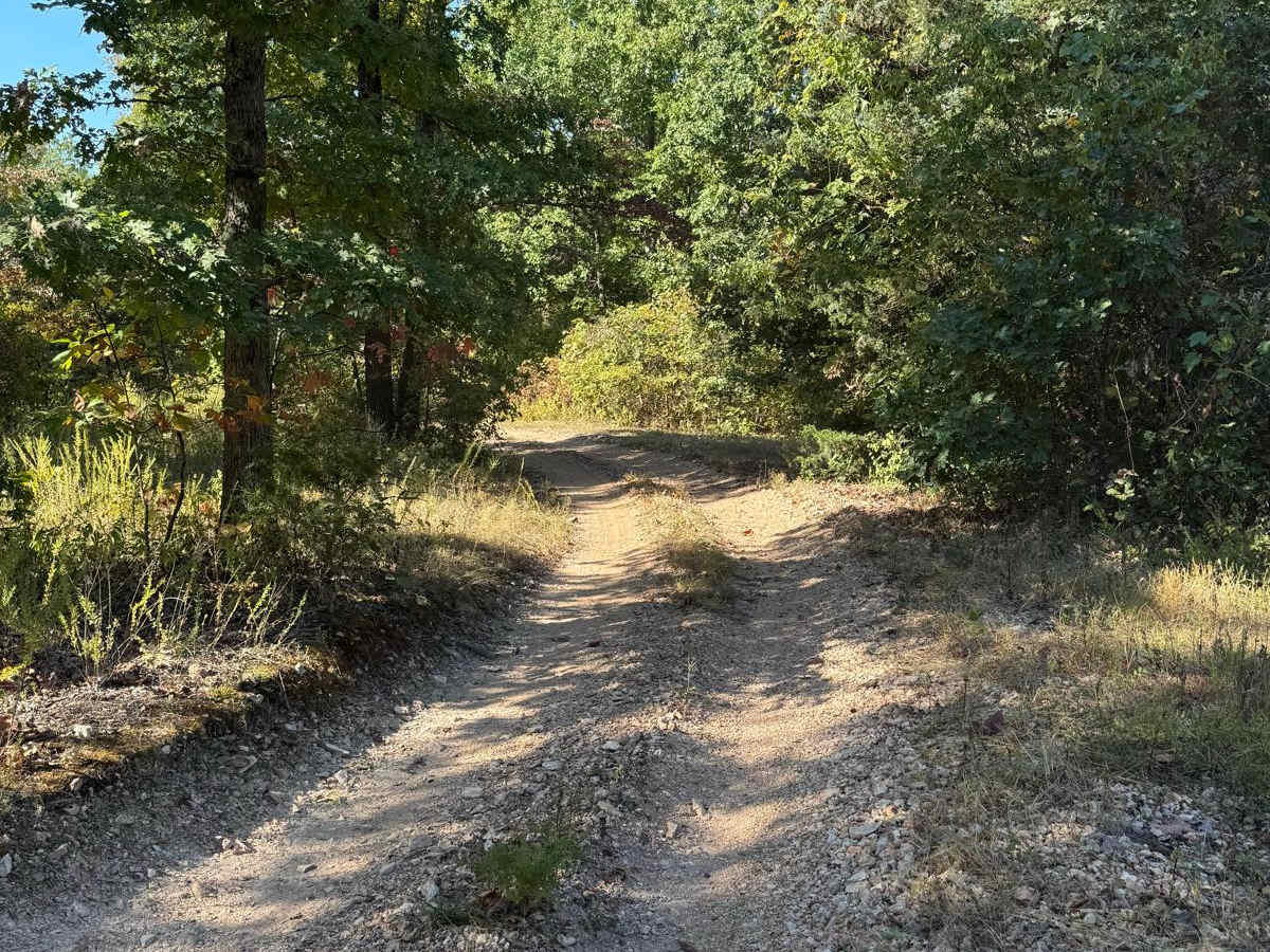 Yellow 18 trail photo