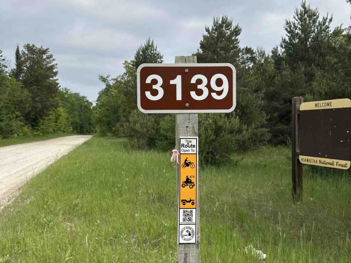 FS 3139 (Dick Rd.) trail photo
