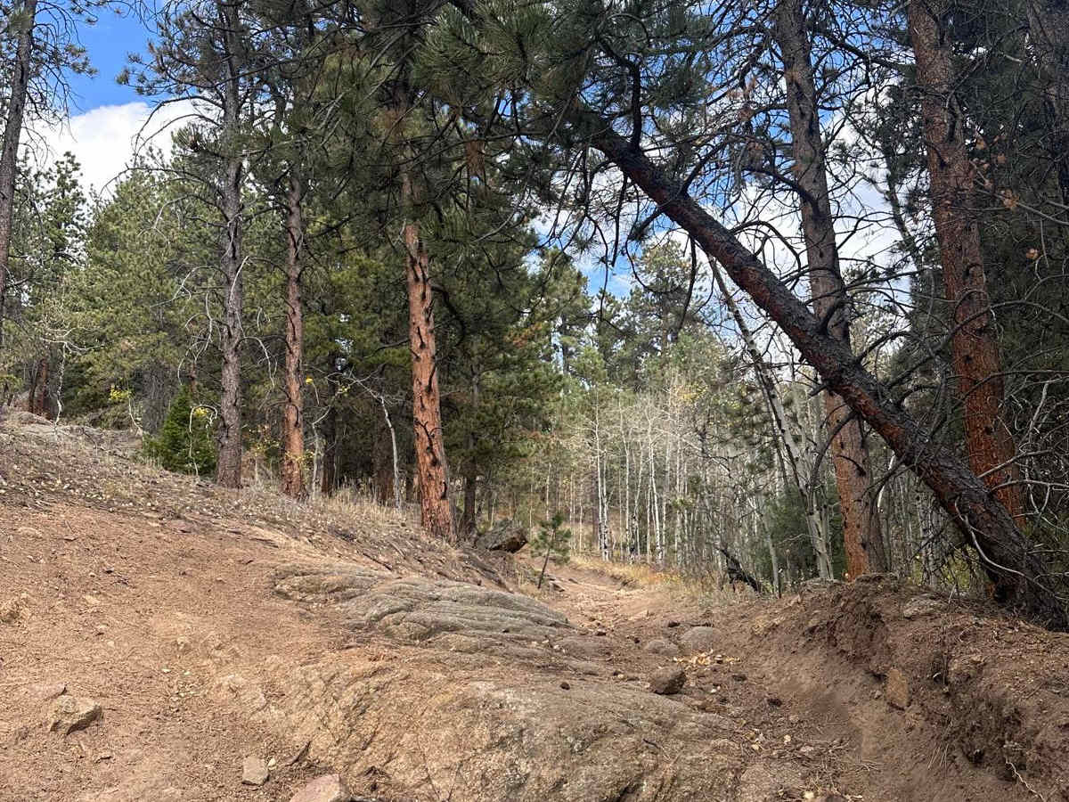 Spring Gulch - 102J photo 6