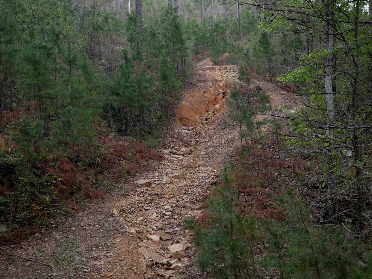 High Mountain Loop B photo 3
