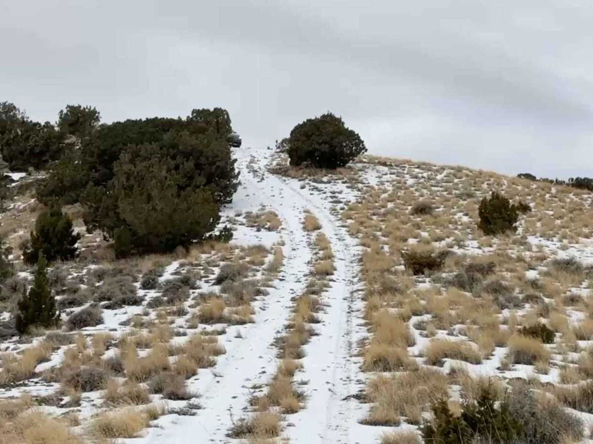 Grassy Mountain Ridge photo 5