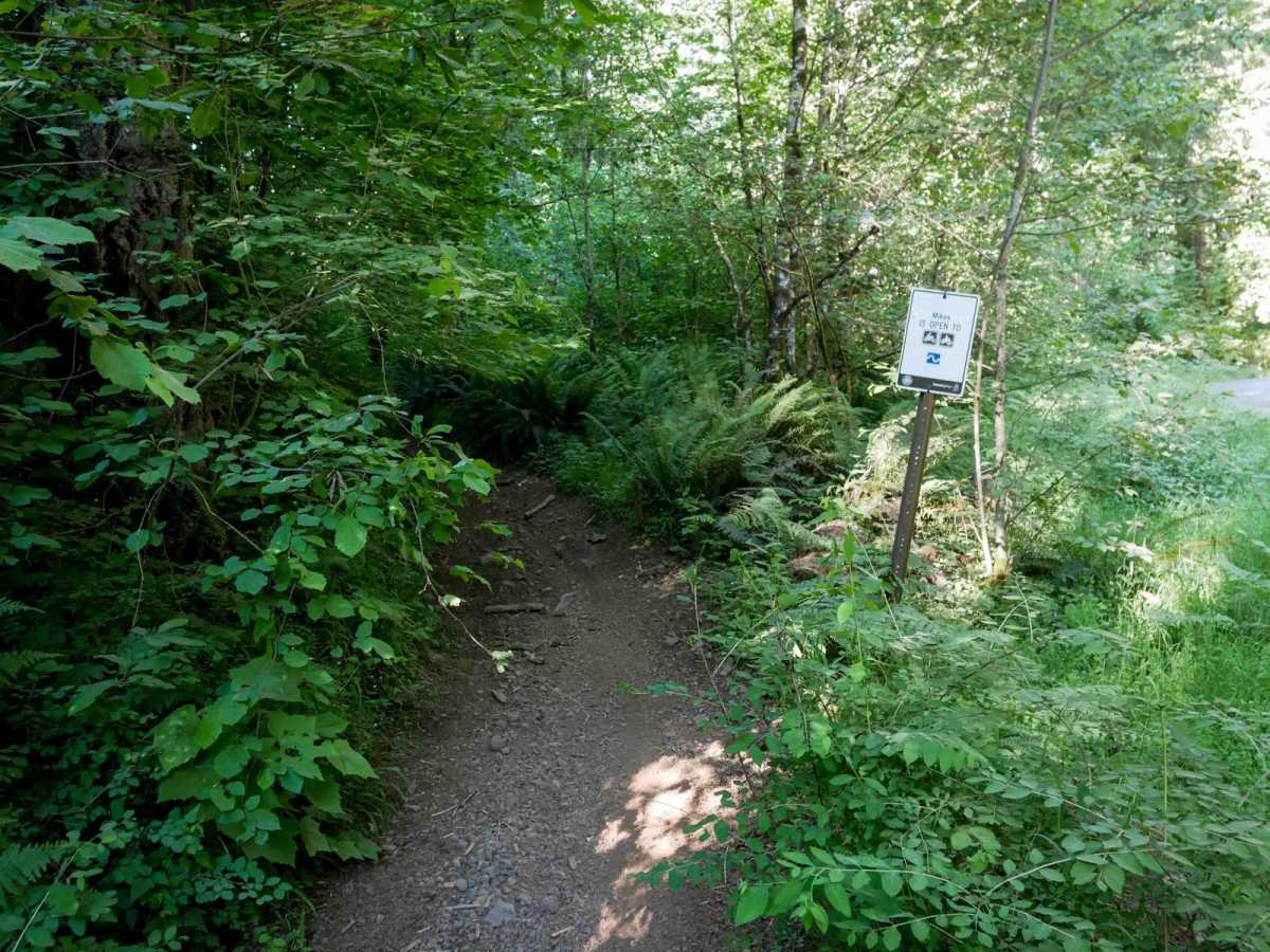 Mikes #92 trail photo