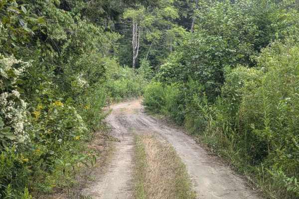 Hallockville Road