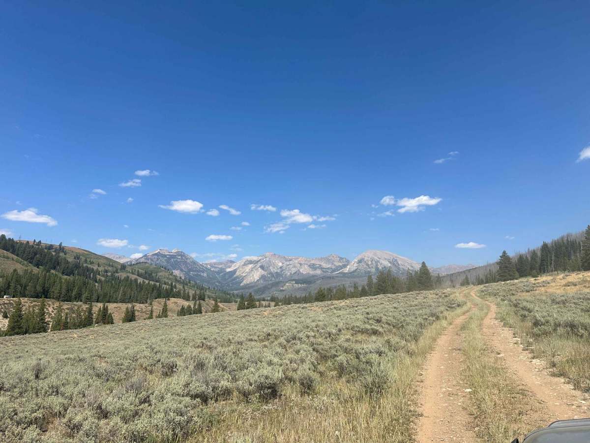 Jack Pine Base trail photo