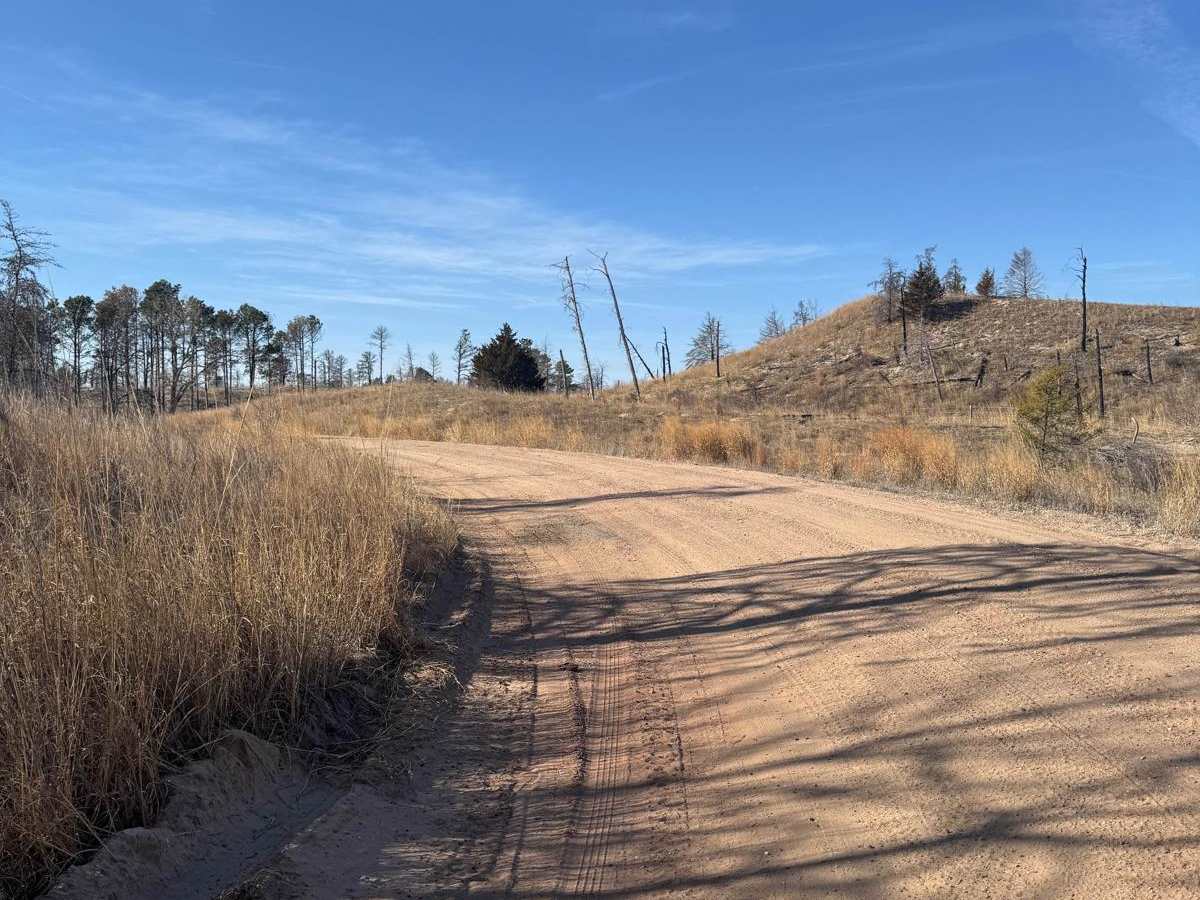 Forest Road 203 - Circle photo 2