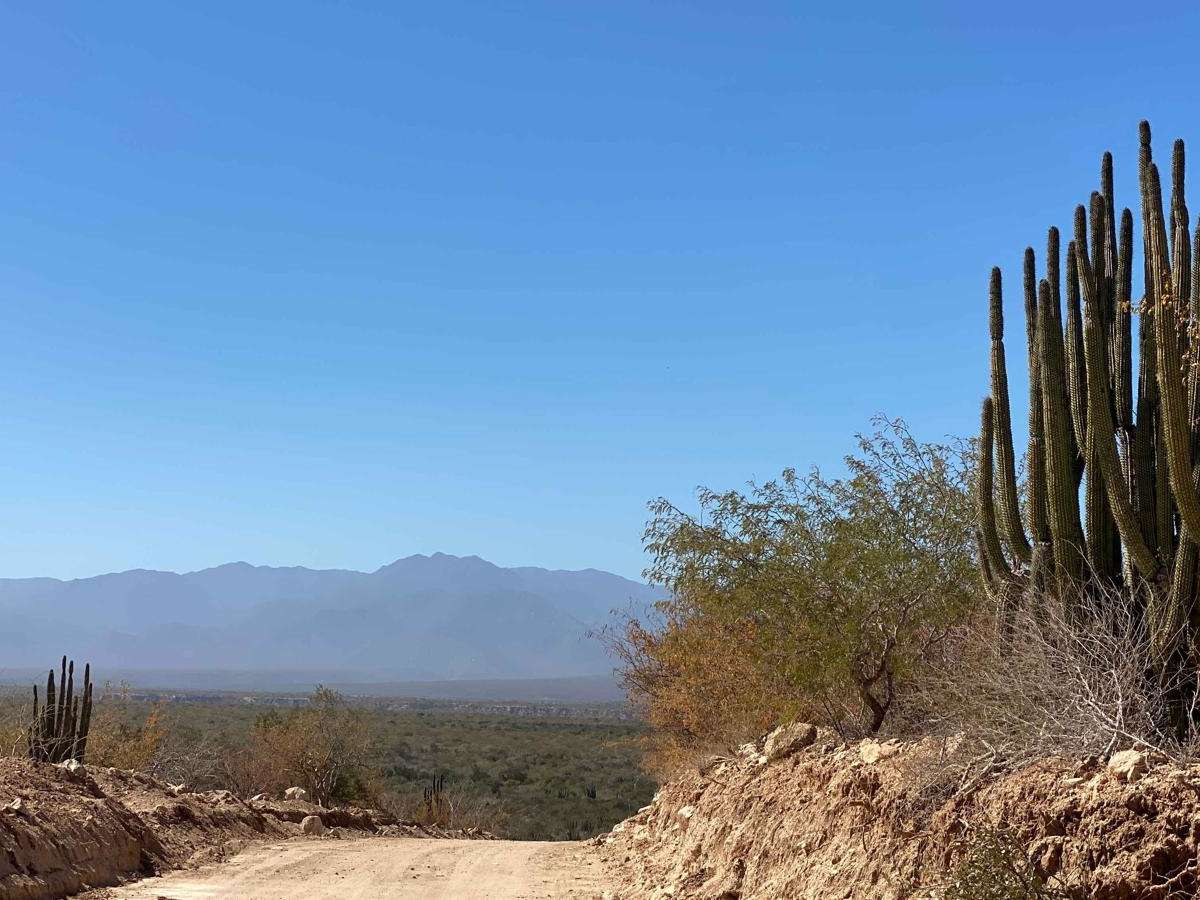 Ribera Loop trail photo