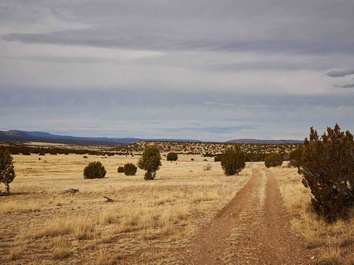 Sec7-Oo Tank Trail photo 3