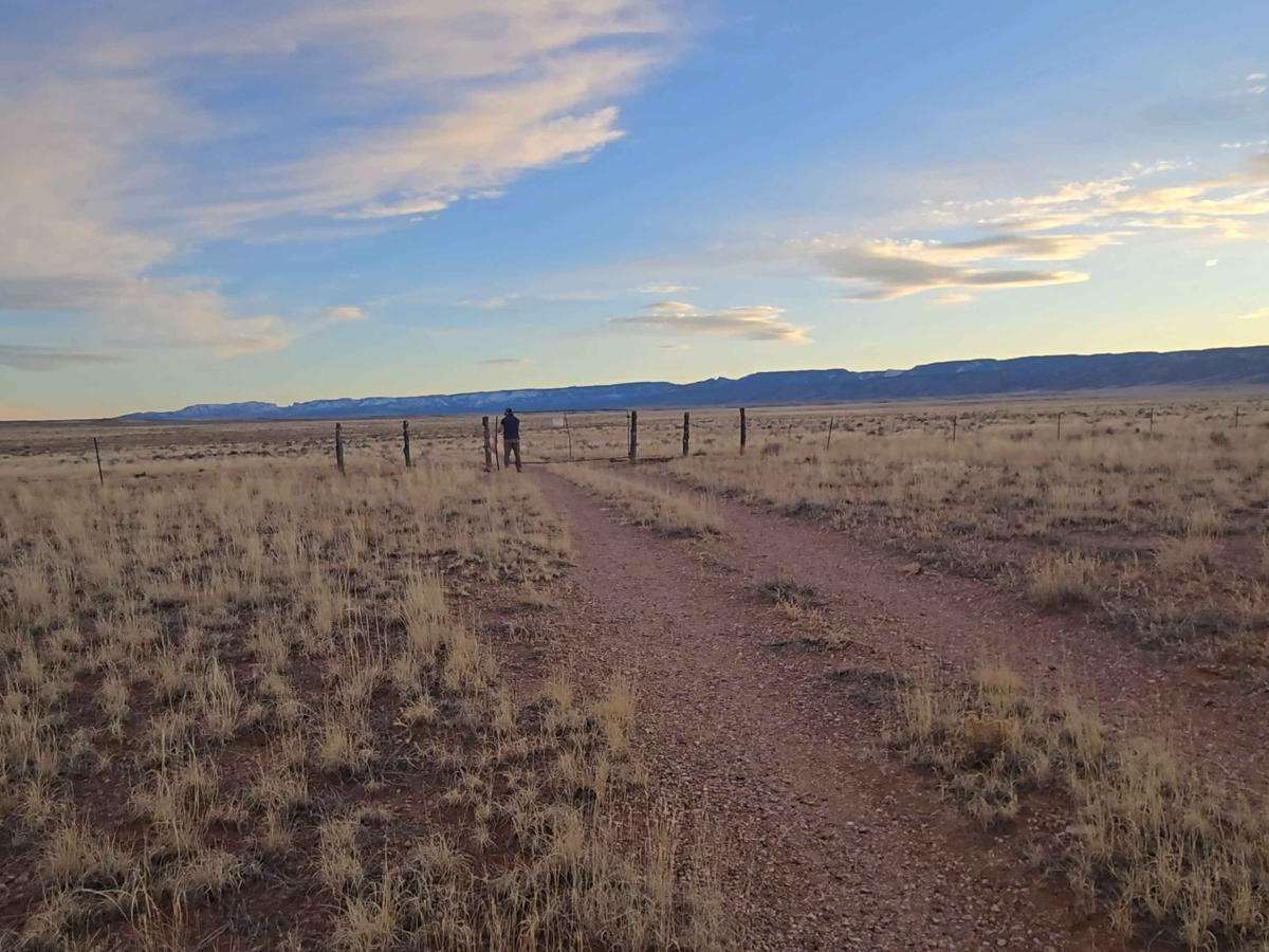 RTE C3007 photo 2