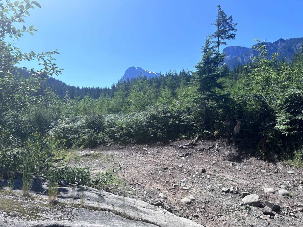 Easy Green trail photo