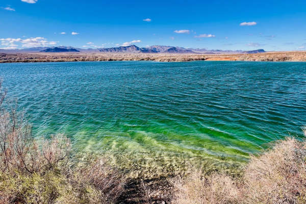 Carp Cove to Cottonwood Cove