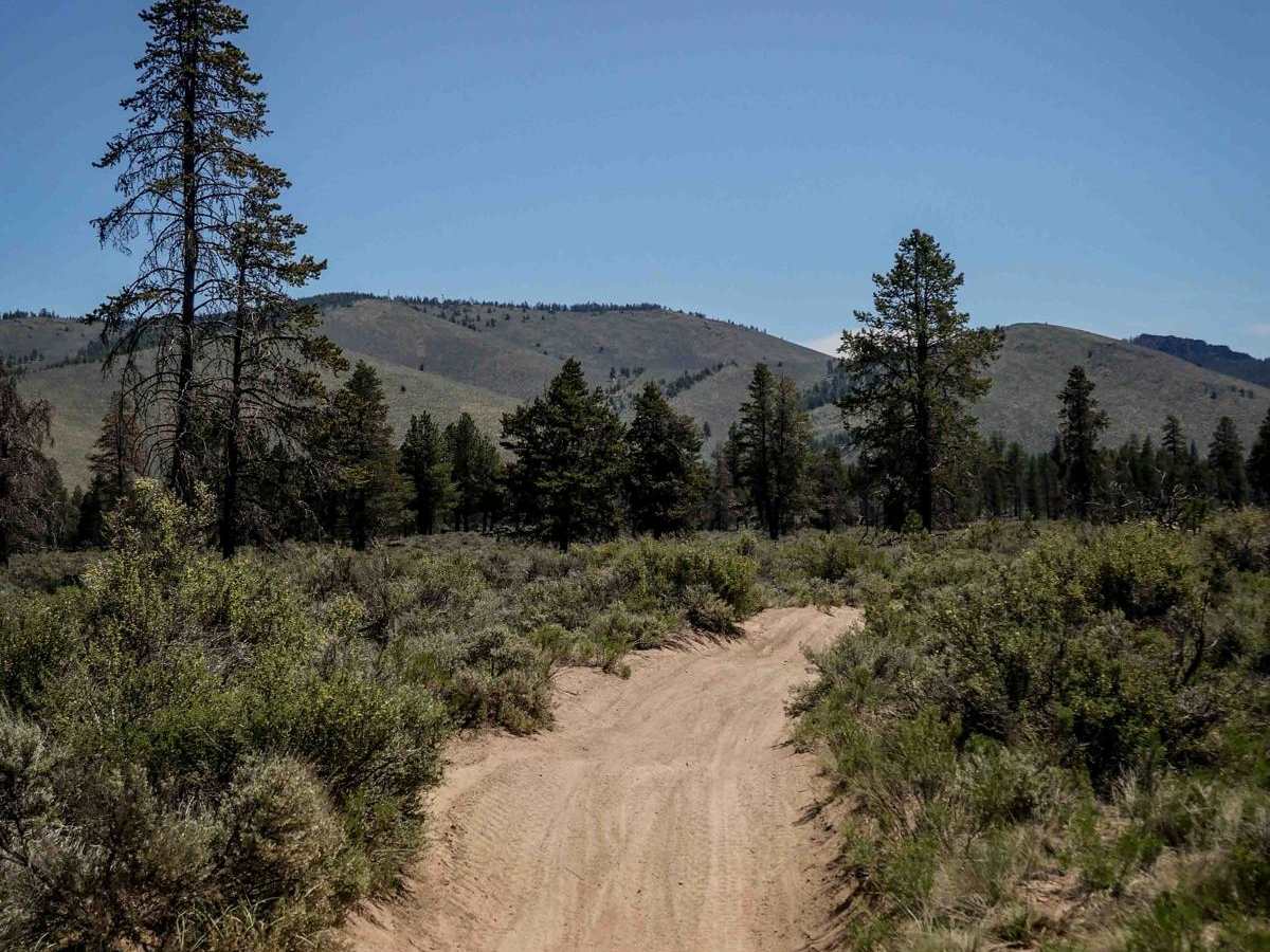 61 trail photo