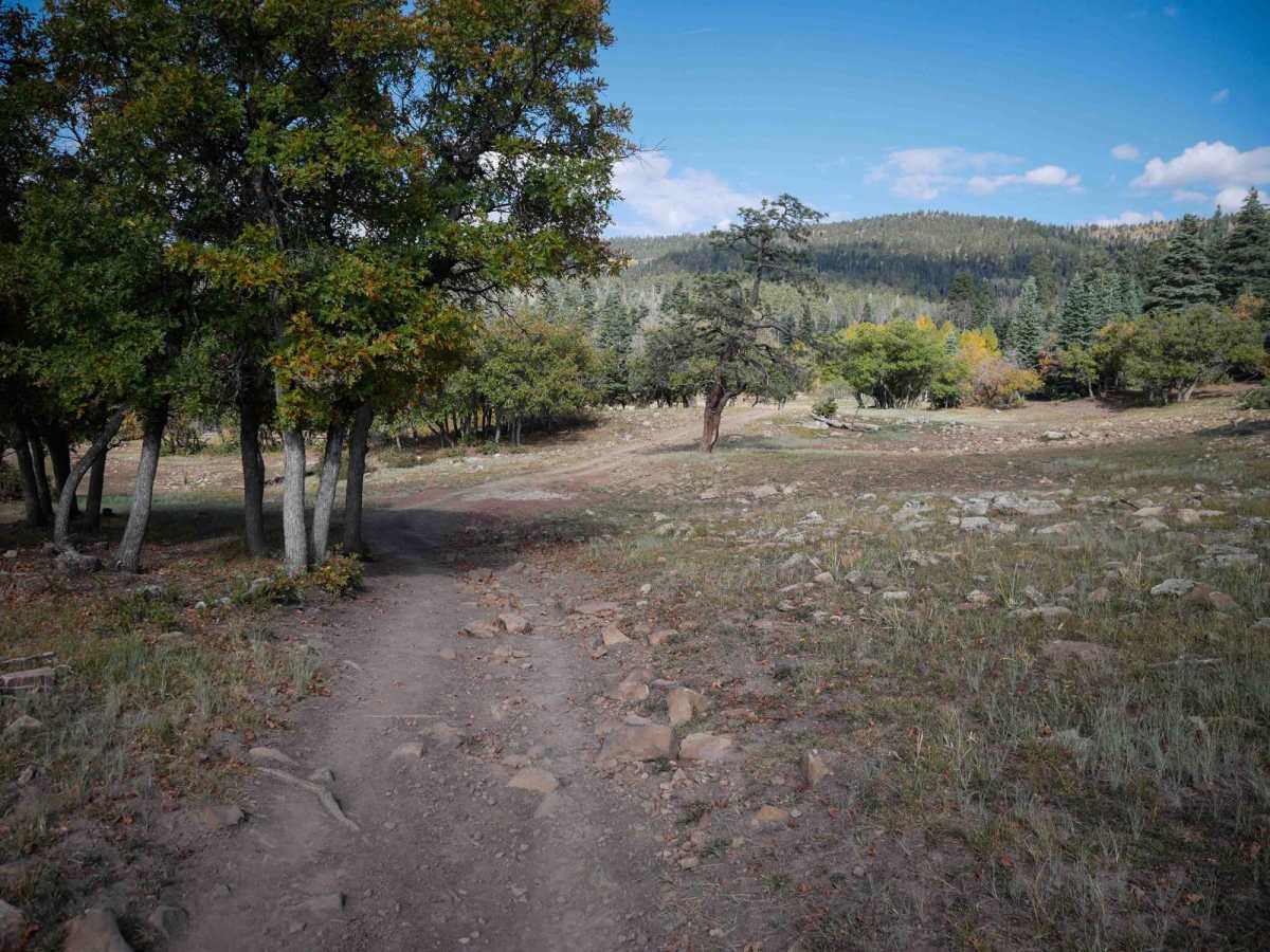 Bear Creek photo 2