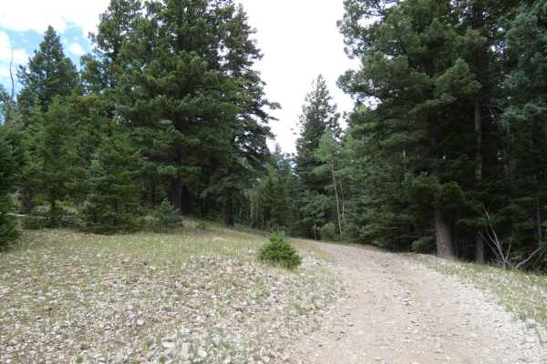 Wayne Canyon