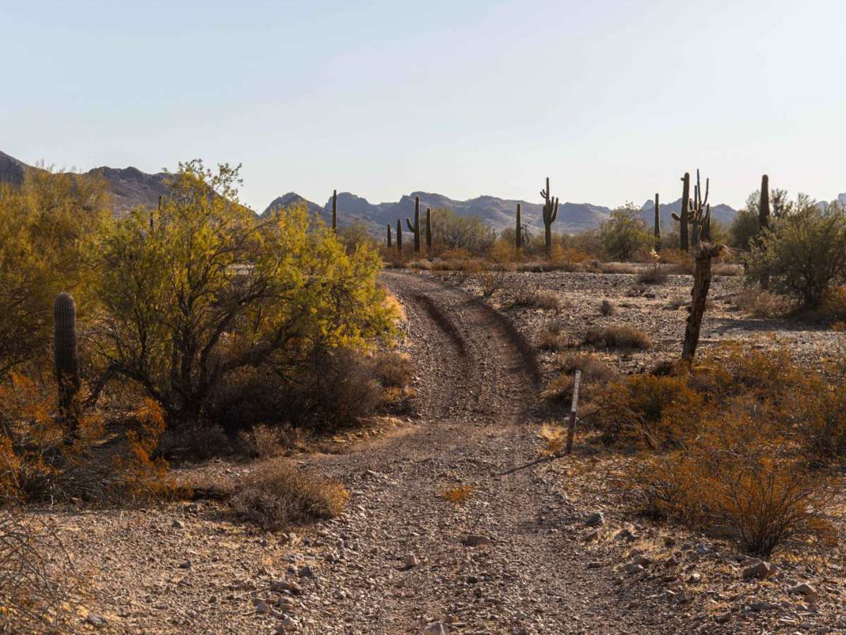 24012 Trail photo 6