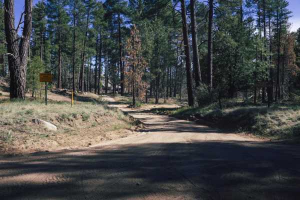 South Mesa