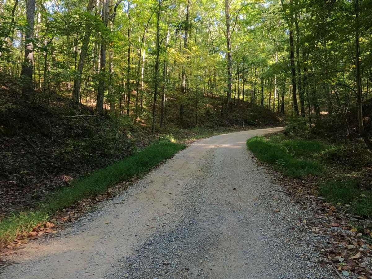 Colson Hollow Road - FS 169 photo 3