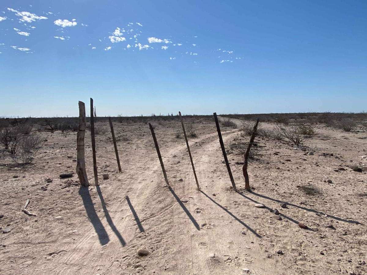 Puerto Chale Cutoff photo 6