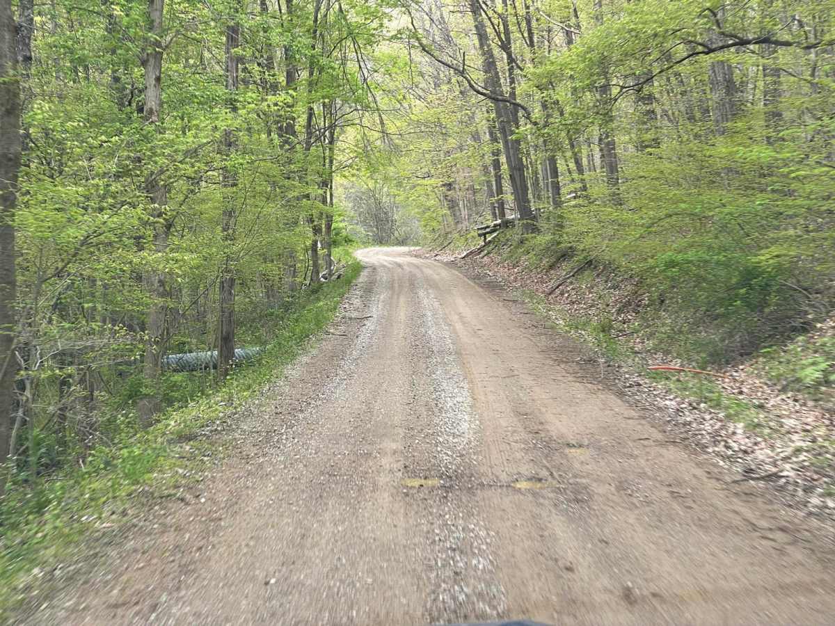 Batnest Loop trail photo