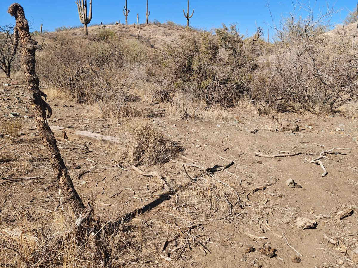Wash to Sky - Single Track trail photo