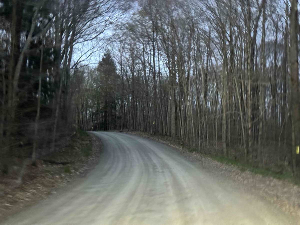 Camp Road trail photo