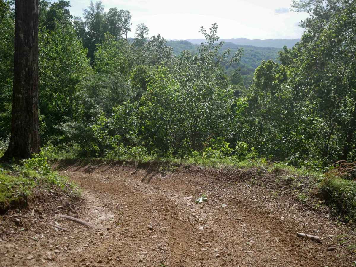 RV24 trail photo