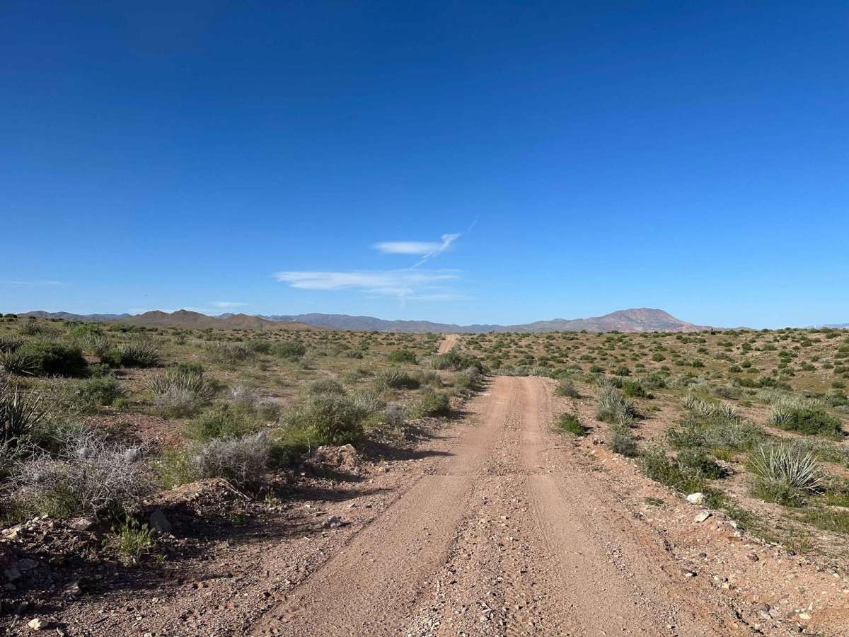 Bull Valley Road trail photo