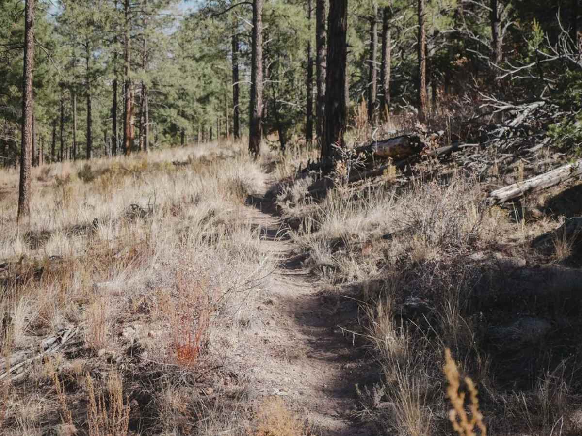 Corral Canyon photo 6