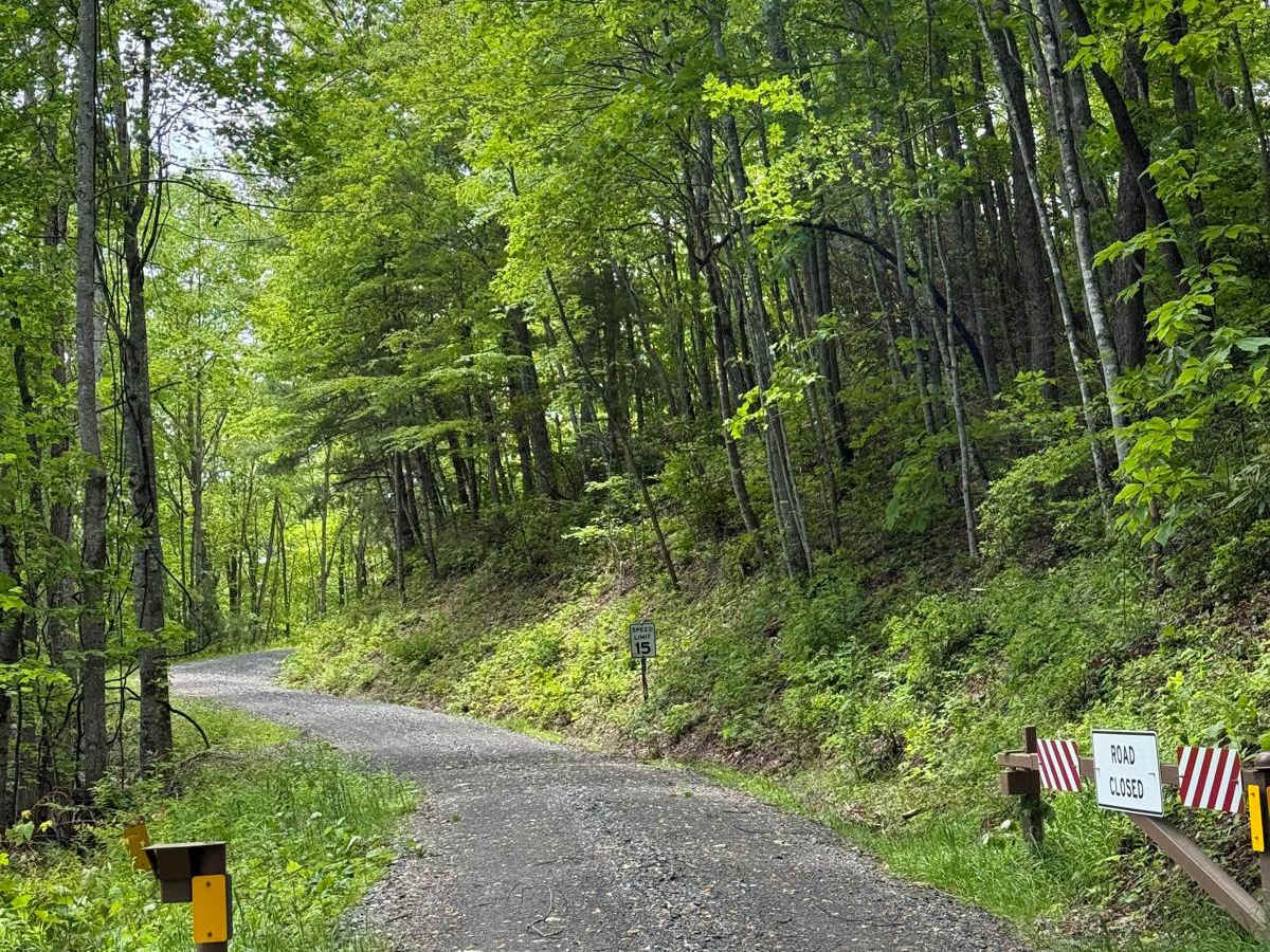 Wolf Creek Road trail photo