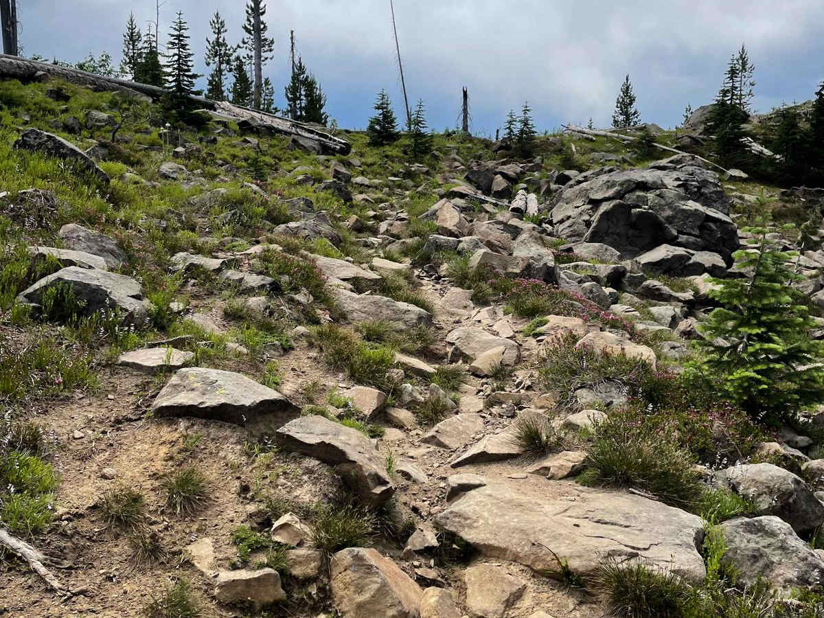 Cirque Basin trail photo