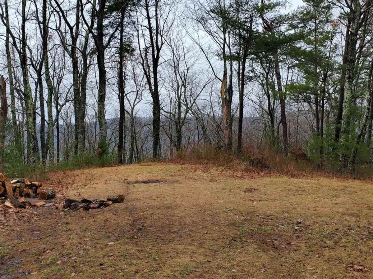 Cold Mountain - FSR 295 photo 4
