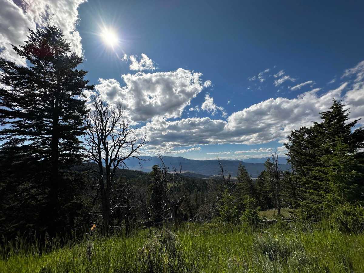 Carter Mountain Access trail photo