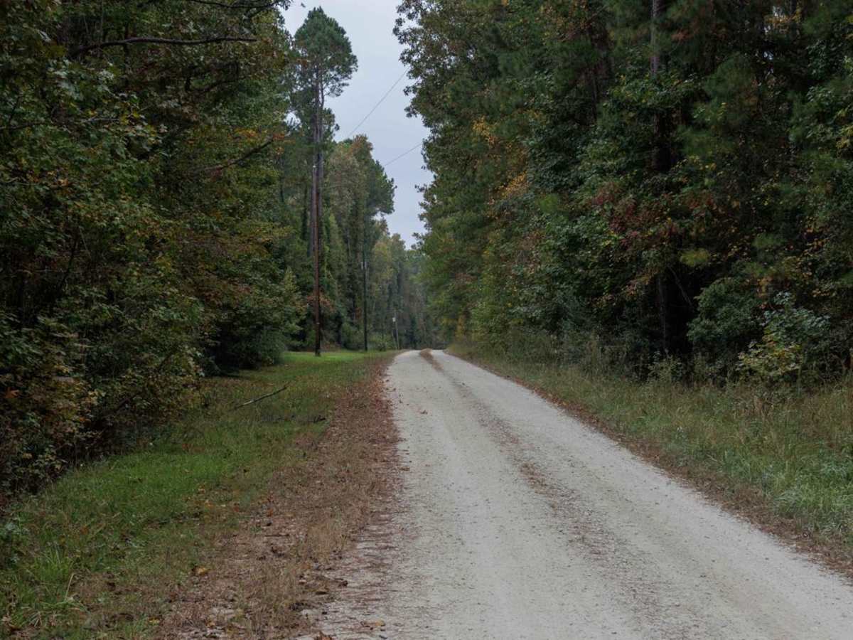 Summerhouse Road - FSR 258 photo 5