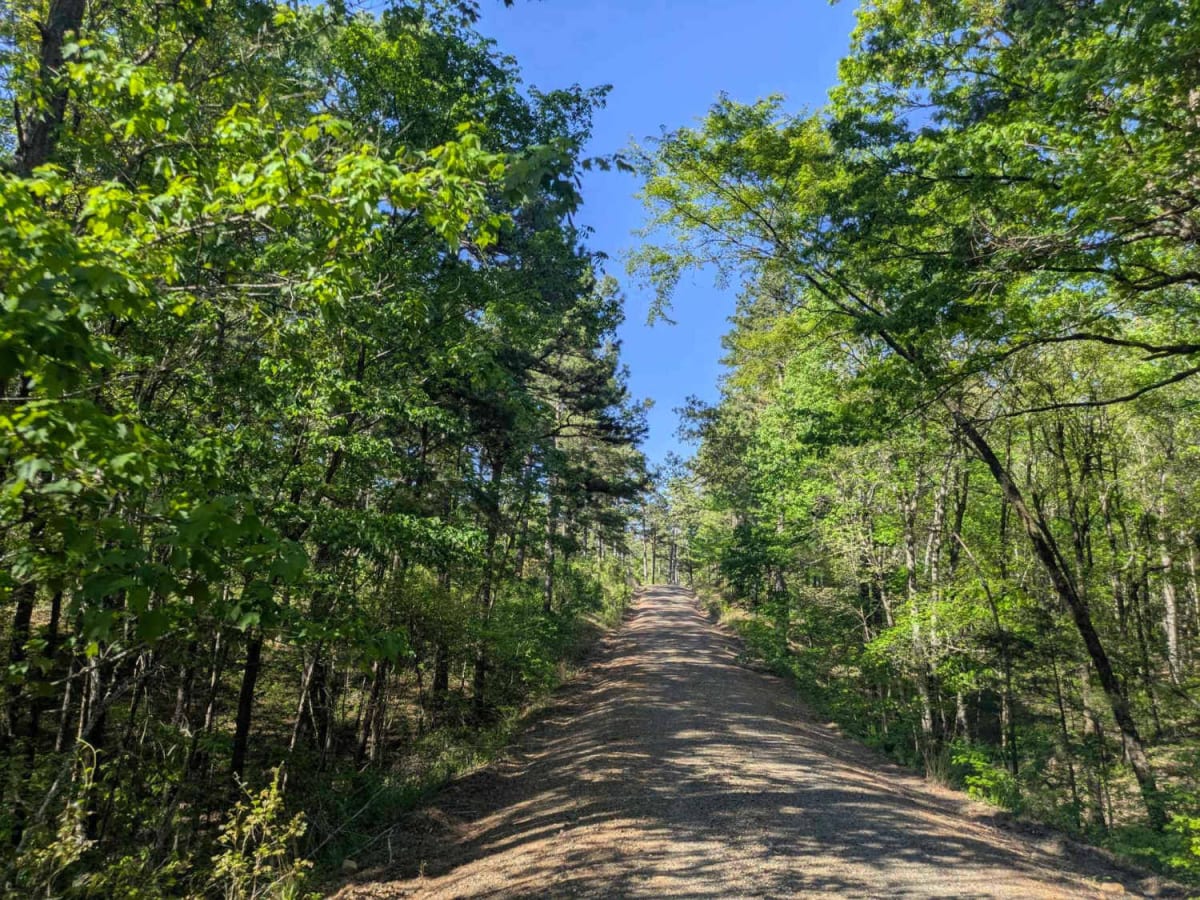 Terrapin Creek Road photo 3