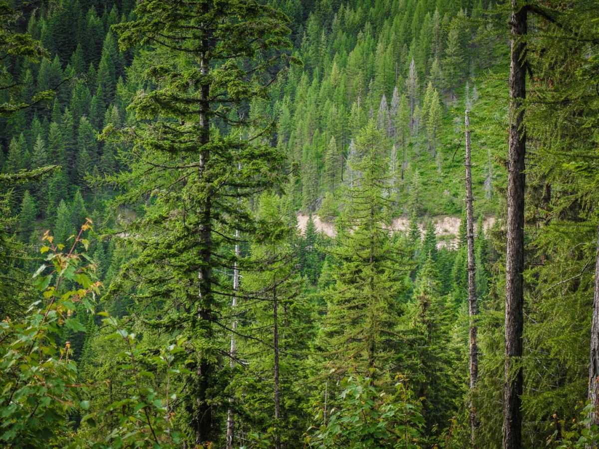 Moon Pass Road (Part 2) photo 4
