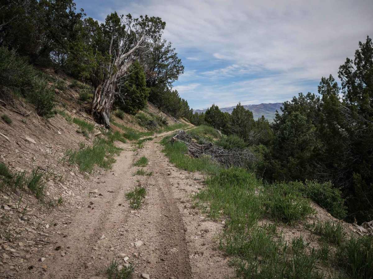 Knoll Hollow ATV Trail photo 6