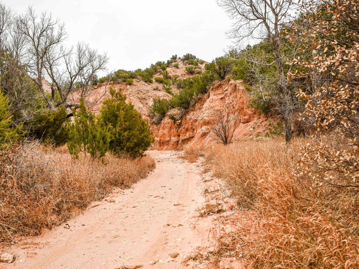 The Meadows Camp Trail photo 3