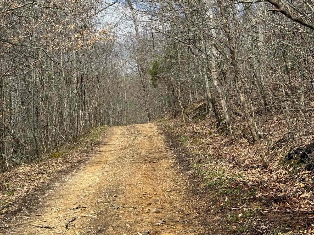 Trail 10 trail photo