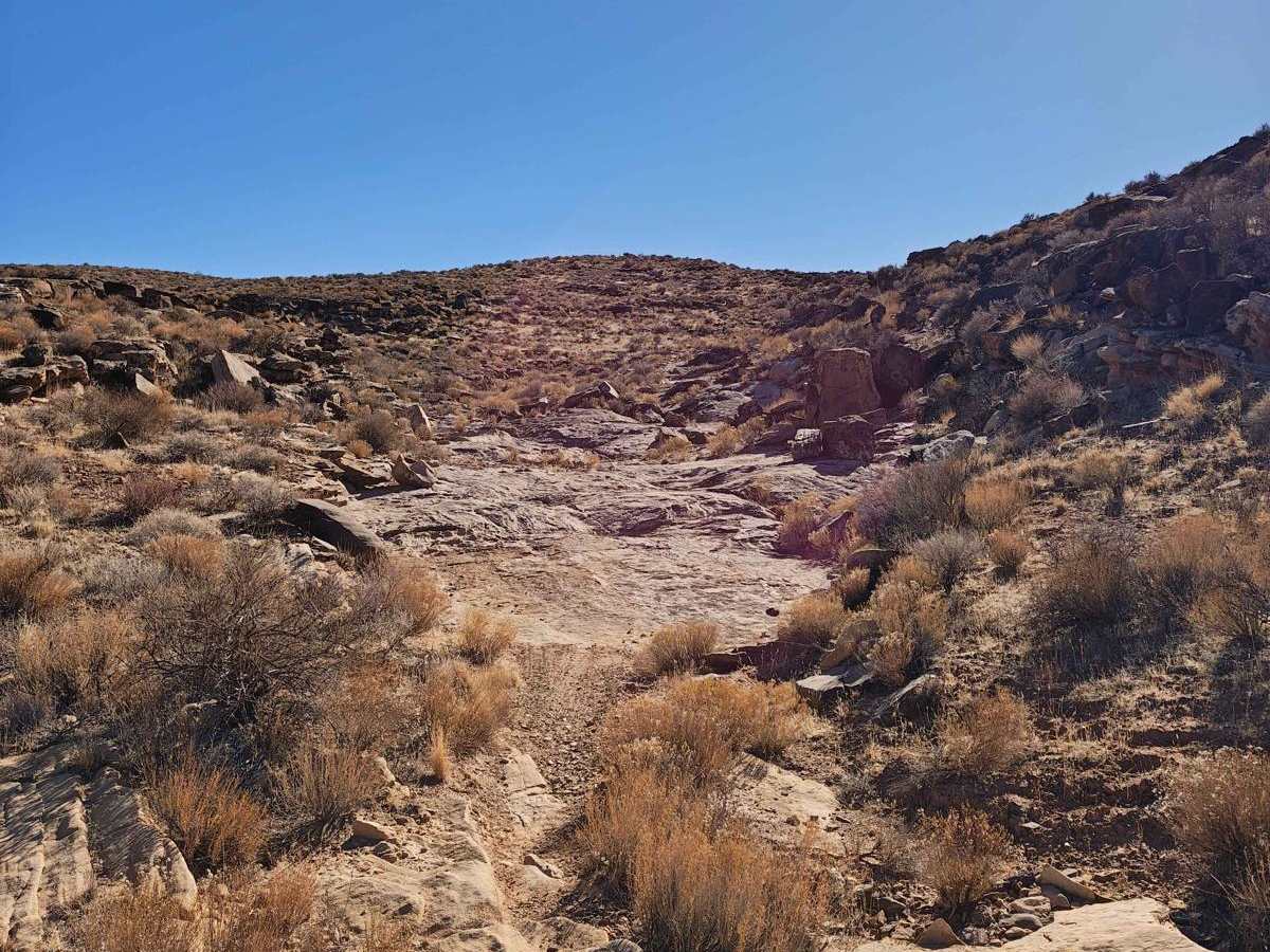 Flat Rock Canyon - Single Track photo 3