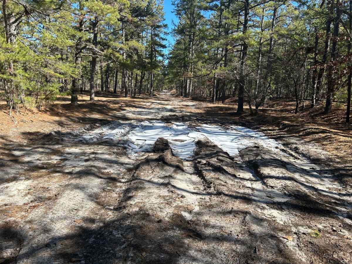 Tulpehocken Creek Trail photo 6