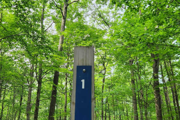 Trail 1 - Rock Run Recreation Area