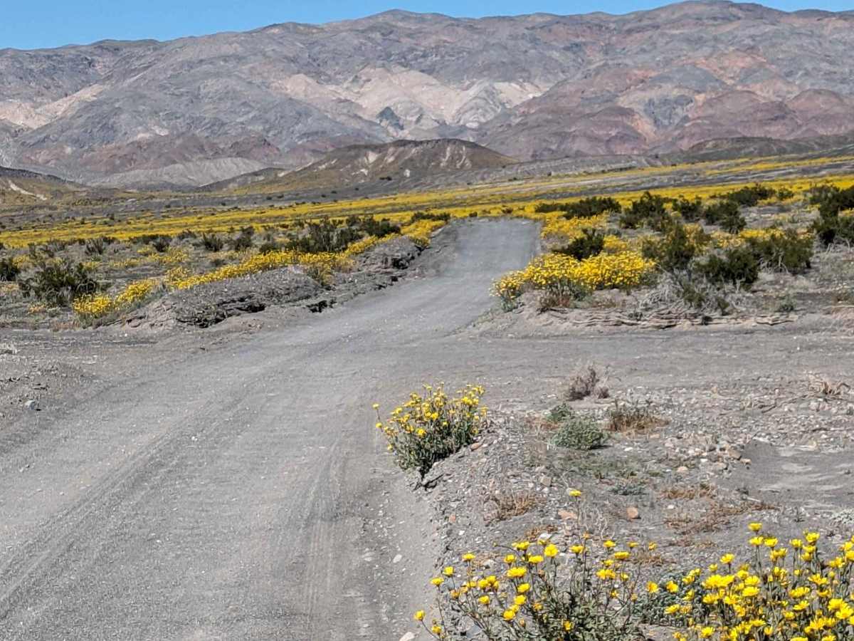 Racetrack Valley Road North photo 5