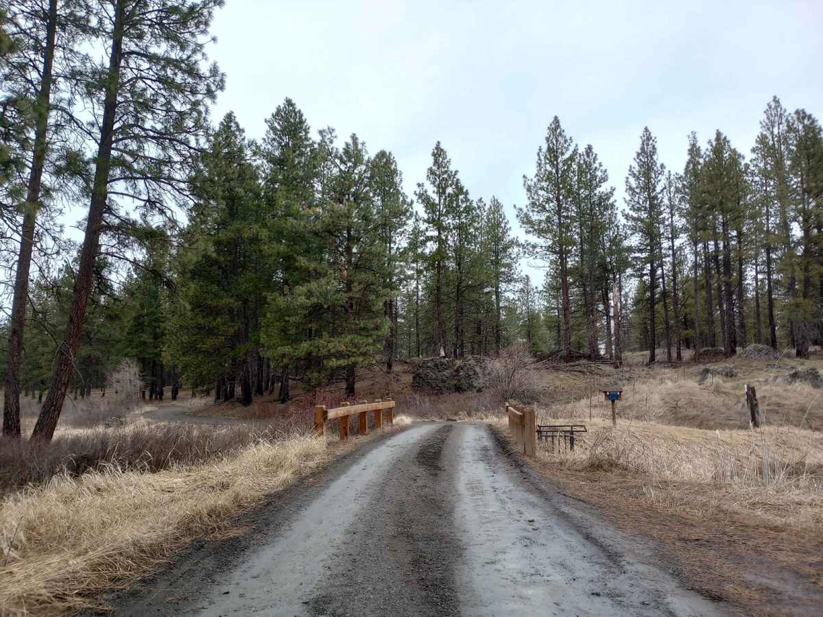Turnbull's Pine Creek Auto Route photo 4
