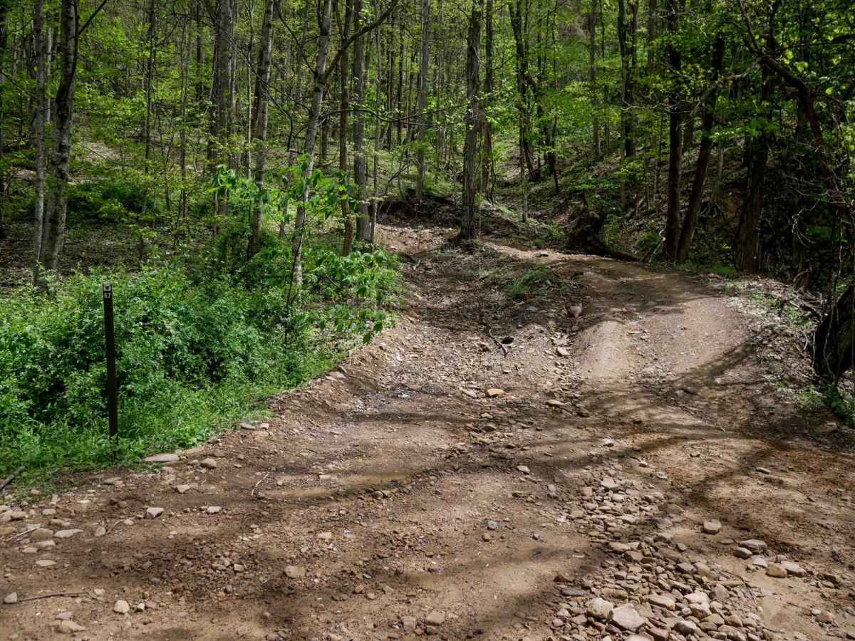 IR 67 trail photo