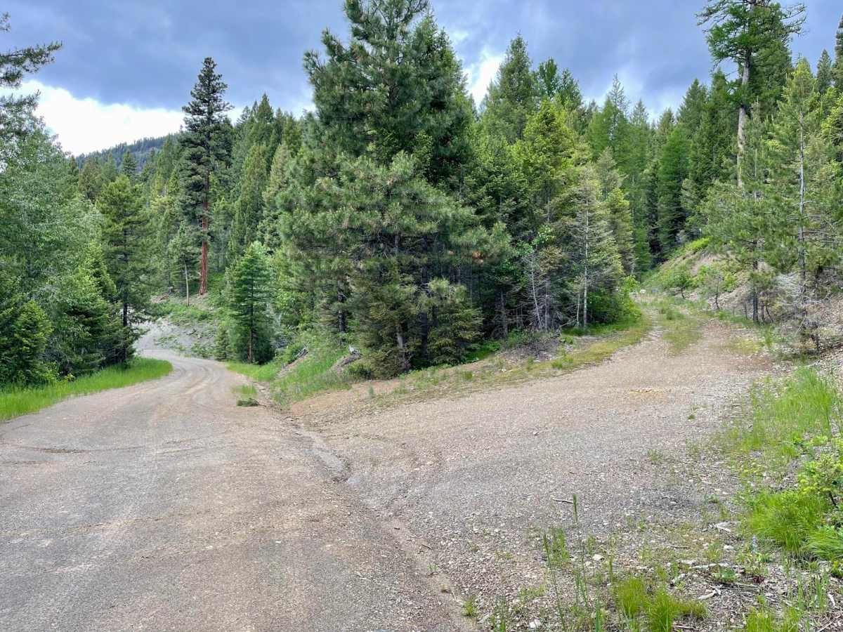 McCabe Creek photo 3