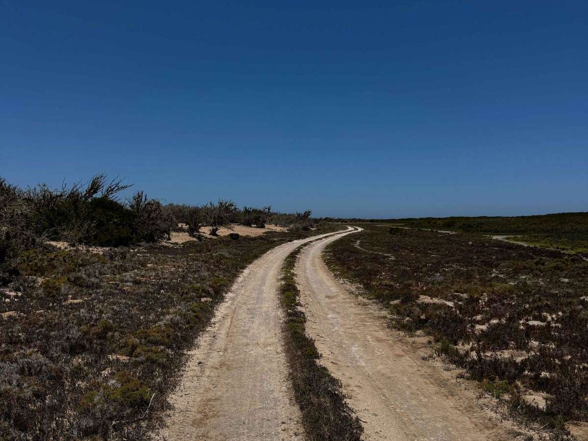 Mangroves Soledad trail photo