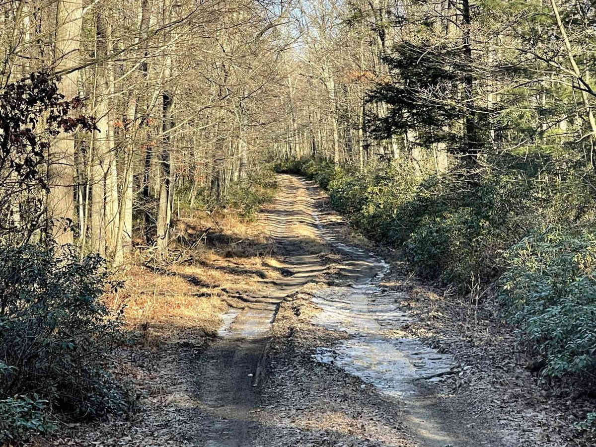 Knob Ridge Road photo 6