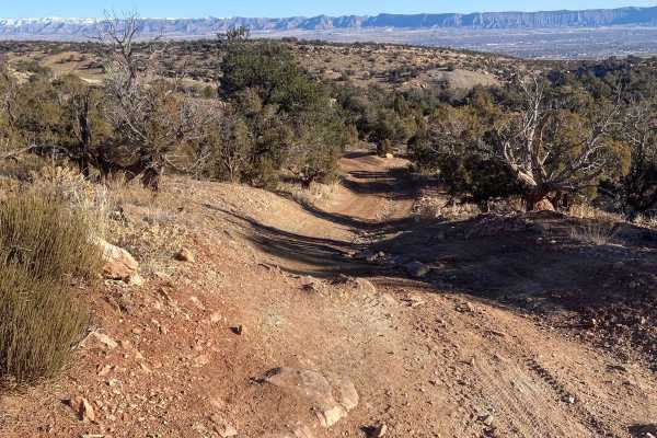 Billings Canyon Road