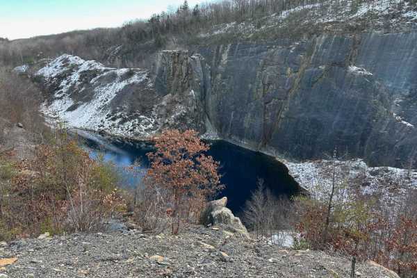 Locust Gap 55