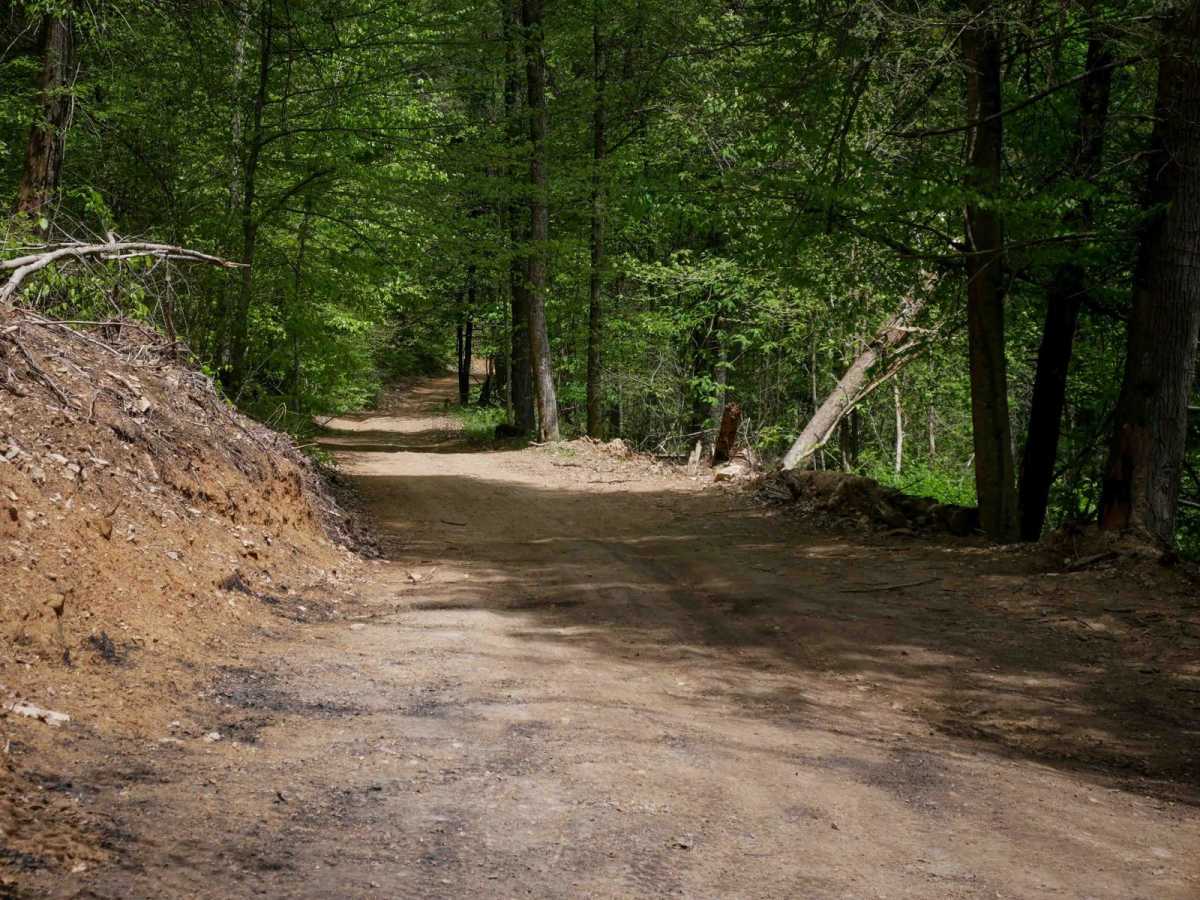 PC 17 trail photo