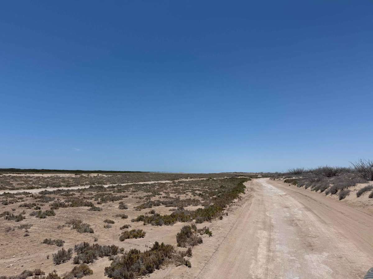 Salt Flats Datil photo 2